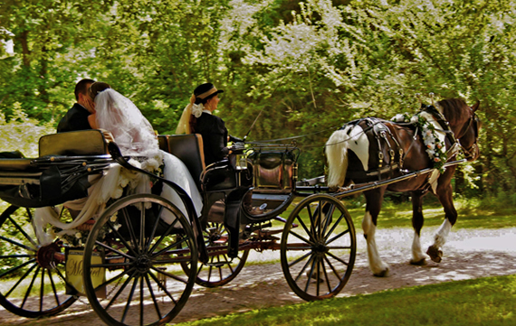 Romantic carriage ride makes unforgettable photographs at your wedding